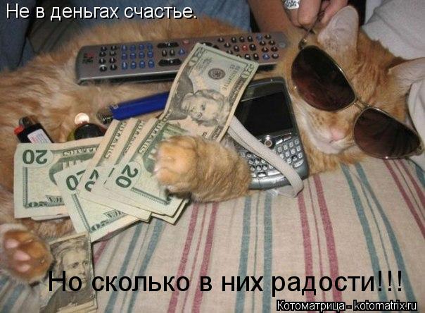 Не в деньгах счастье. Но сколько в них радости!!!... Котоматрица: Не в деньгах счастье. Но сколько в них радости!!!