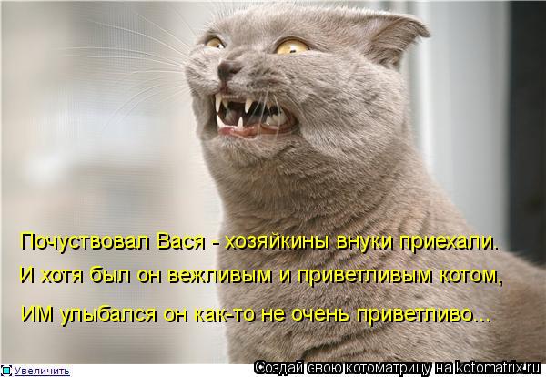 И хотя был он вежливым и приветливым котом, Почуствовал Вася - хозяйкины внуки приехали. ИМ улыбался ... Котоматрица: И хотя был он вежливым и приветливым котом, Почуствовал Вася - хозяйкины внуки приехали. ИМ улыбался он как-то не очень приветливо...