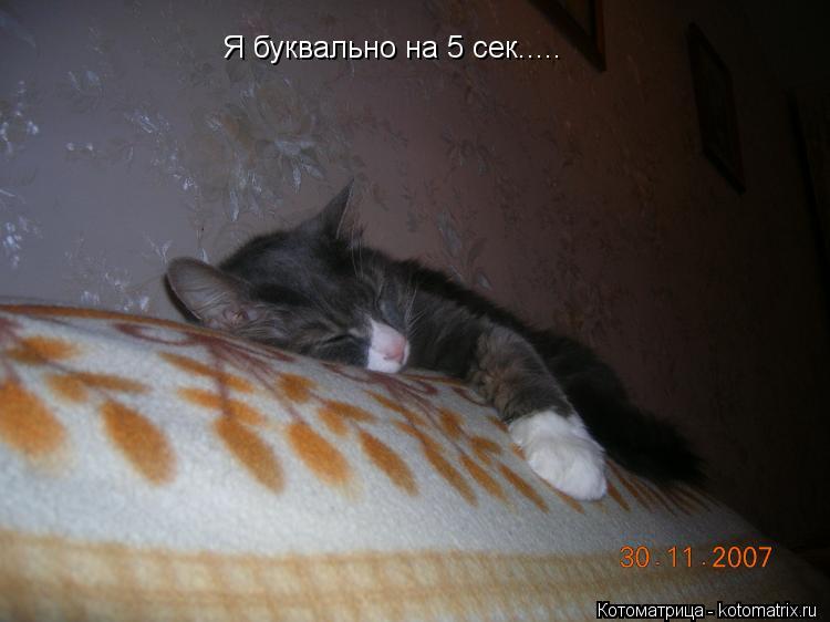 Котоматрица: Я буквально на 5 сек.....