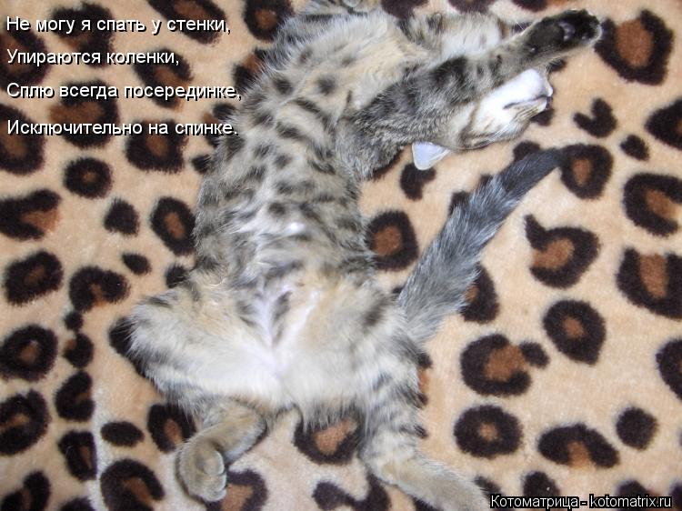 Котоматрица: Не могу я спать у стенки, Упираются коленки, Сплю всегда посерединке, Исключительно на спинке.