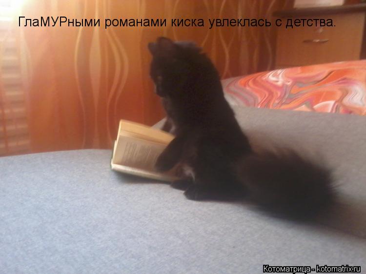 Котоматрица: ГлаМУРными романами киска увлеклась с детства.