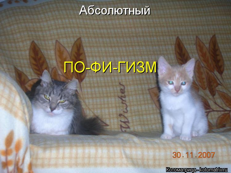 Абсолютный ПО-ФИ-ГИЗМ... Котоматрица: Абсолютный ПО-ФИ-ГИЗМ