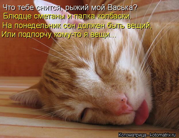 Котоматрица: Что тебе снится, рыжий мой Васька? Блюдце сметаны и палка колбаски. На понедельник сон должен быть вещий, Или подпорчу кому-то я вещи...
