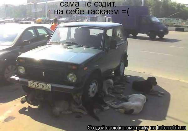 Котоматрица: сама не ездит.  на себе таскаем =(