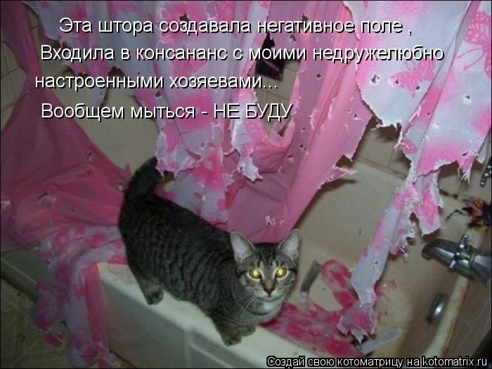 Эта штора создавала негативное поле , Входила в консананс с моими недружелюбно настроенными хозяевами... Котоматрица: Эта штора создавала негативное поле , Входила в консананс с моими недружелюбно настроенными хозяевами... Вообщем мыться - НЕ БУДУ