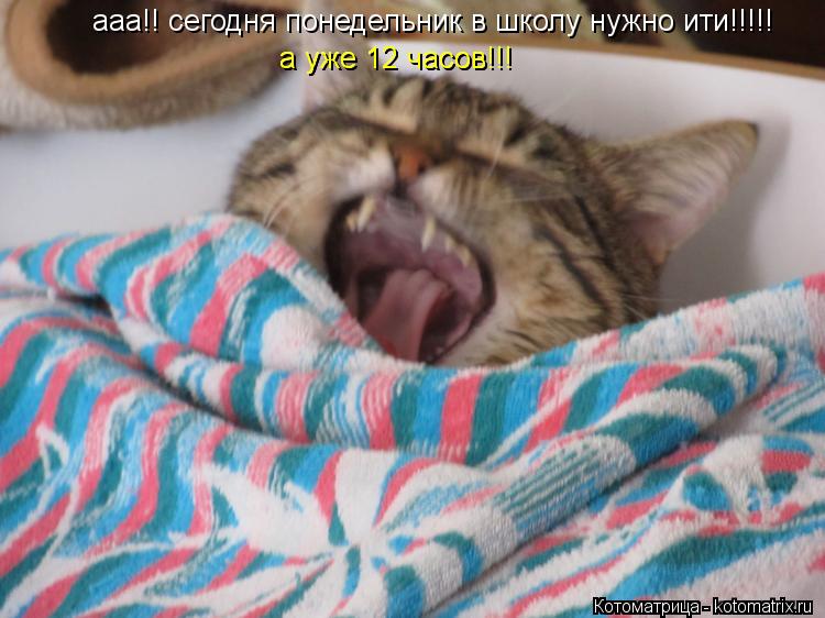 Котоматрица: ааа!! сегодня понедельник в школу нужно ити!!!!! а уже 12 часов!!! а уже 12 часов!!!