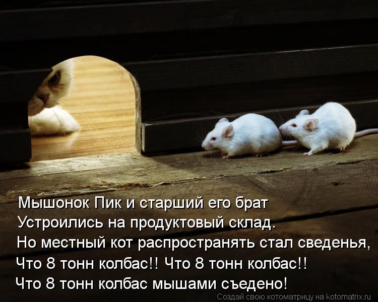 Мышонок Пик и старший его брат Устроились на продуктовый склад. Но местный кот распространять стал св... Котоматрица: Мышонок Пик и старший его брат Устроились на продуктовый склад. Но местный кот распространять стал сведенья, Что 8 тонн колбас!! Что 8 тонн ко