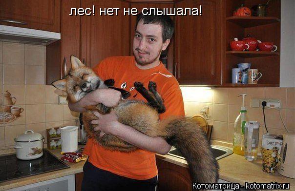 Котоматрица: лес! нет не слышала!