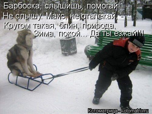 Барбоска, слышишь, помогай! Не слышу. Макс, не отвлекай, - Кругом такая, блин, природа, Зима, покой..... Котоматрица: Барбоска, слышишь, помогай! Не слышу. Макс, не отвлекай, - Кругом такая, блин, природа, Зима, покой... Да ты езжай!!!