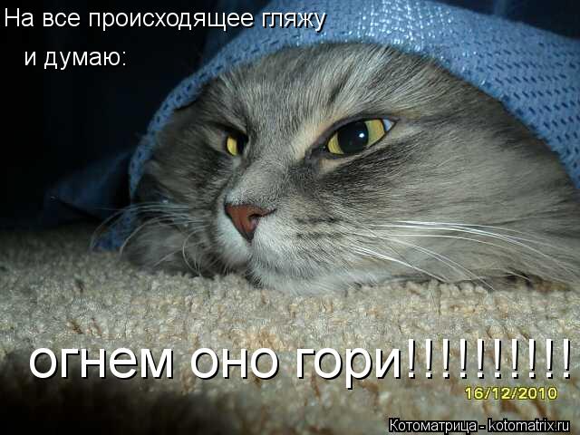 На все происходящее гляжу и думаю: огнем оно гори!!!!!!!!!!!... Котоматрица: На все происходящее гляжу и думаю: огнем оно гори!!!!!!!!!!!