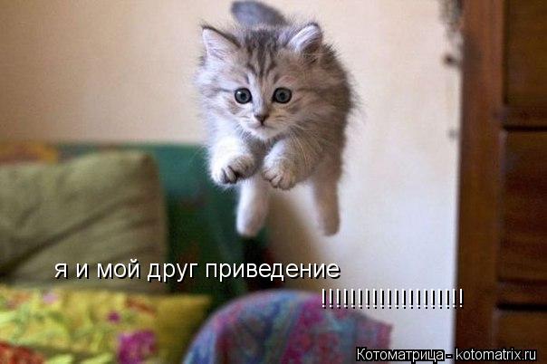Котоматрица: я и мой друг приведение !!!!!!!!!!!!!!!!!!!!