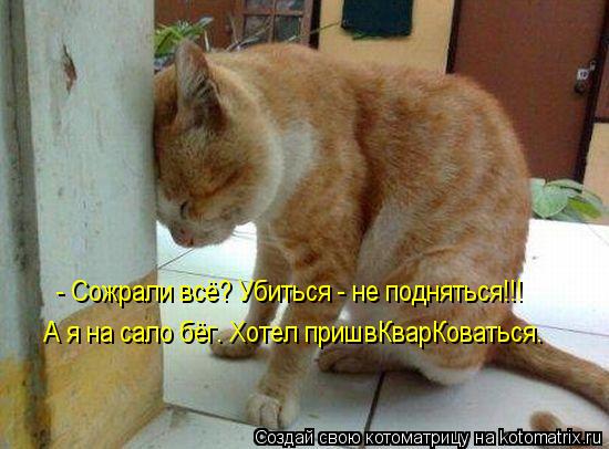 - Сожрали всё? Убиться - не подняться!!! А я на сало бёг. Хотел пришвКварКоваться.... Котоматрица: - Сожрали всё? Убиться - не подняться!!! А я на сало бёг. Хотел пришвКварКоваться.