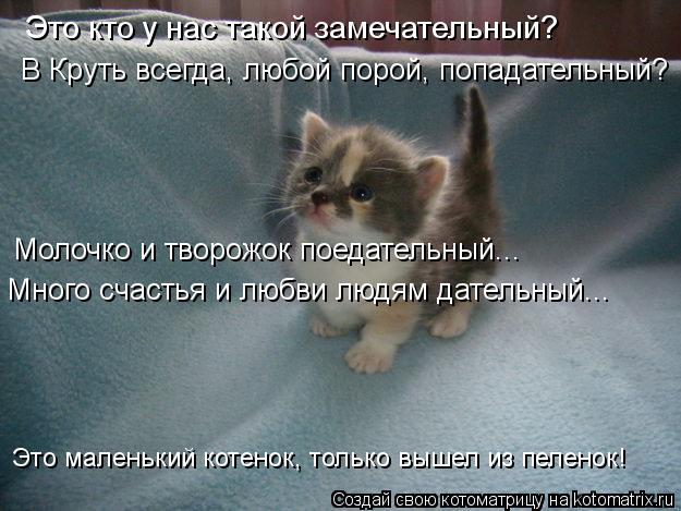 Котоматрица: Это кто у нас такой замечательный? В Круть всегда, любой порой, попадательный? Молочко и творожок поедательный... Много счастья и любви людям