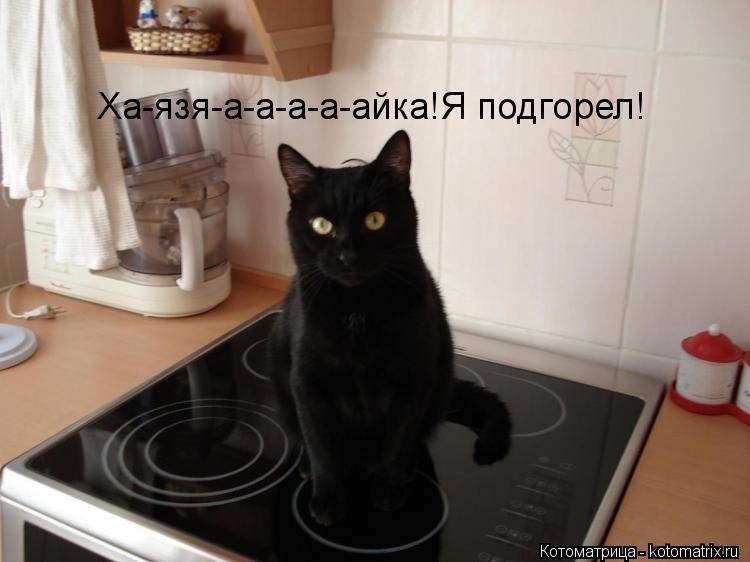 Котоматрица: Ха-язя-а-а-а-а-айка!Я подгорел!