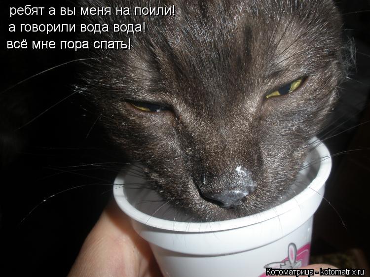 ребят а вы меня на поили! а говорили вода вода! всё мне пора спать! всё мне пора спать!... Котоматрица: ребят а вы меня на поили! а говорили вода вода! всё мне пора спать! всё мне пора спать!