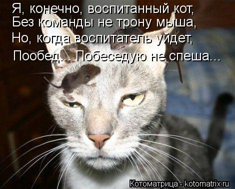Я, конечно, воспитанный кот, Без команды не трону мыша, Но, когда воспитатель уйдет, Пообед... Побесе... Котоматрица: Я, конечно, воспитанный кот, Без команды не трону мыша, Но, когда воспитатель уйдет, Пообед... Побеседую не спеша...