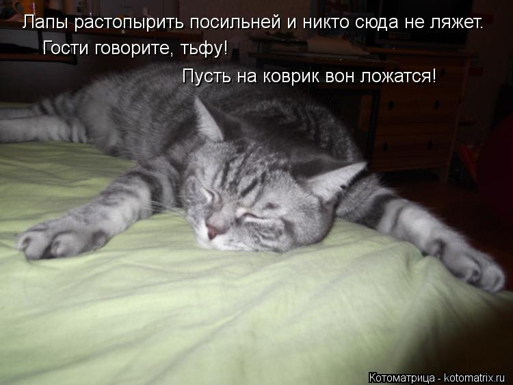 Лапы растопырить посильней и никто сюда не ляжет. Гости говорите, тьфу! Пусть на коврик вон ложатся!... Котоматрица: Лапы растопырить посильней и никто сюда не ляжет. Гости говорите, тьфу! Пусть на коврик вон ложатся!