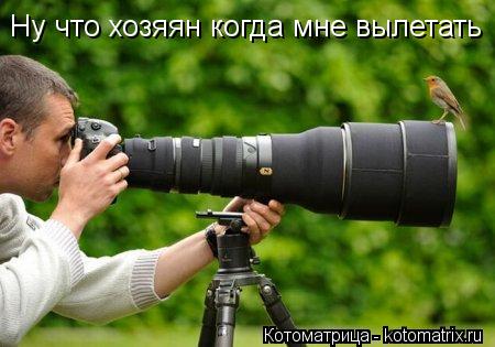 Ну что хозяян когда мне вылетать... Котоматрица: Ну что хозяян когда мне вылетать