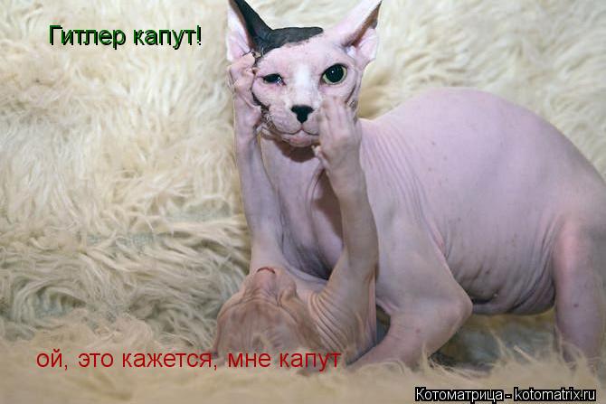 Гитлер капут! ой, это кажется, мне капут... Котоматрица: Гитлер капут! ой, это кажется, мне капут