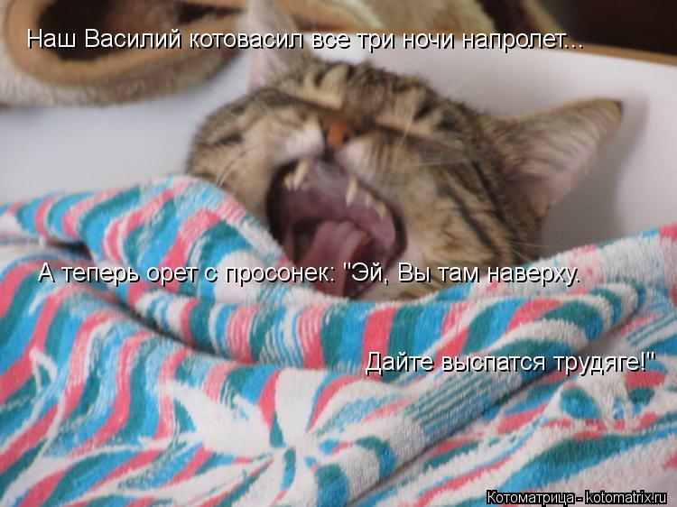 Наш Василий котовасил все три ночи напролет... А теперь орет с просонек: "Эй, Вы там наверху. Дайте ... Котоматрица: Наш Василий котовасил все три ночи напролет... А теперь орет с просонек: "Эй, Вы там наверху. Дайте выспатся трудяге!"