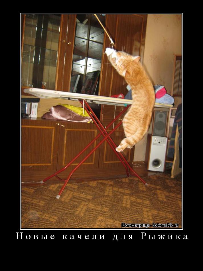Котоматрица: Новые качели для Pыжика 