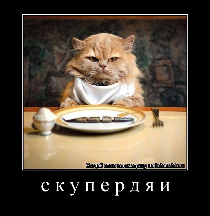 Котоматрица: скупердяи 