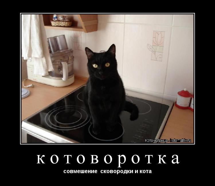 котоворотка совмешение сковородки и кота... Котоматрица: котоворотка совмешение сковородки и кота