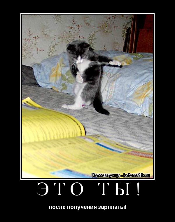 Котоматрица: ЭТО ТЫ! после получения зарплаты!