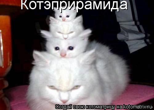 Котэприрамида... Котоматрица: Котэприрамида