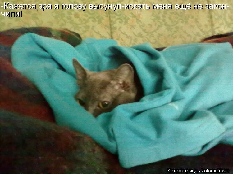 Котоматрица: -Кажется,зря я голову высунул-искать меня ещё не закон- чили!
