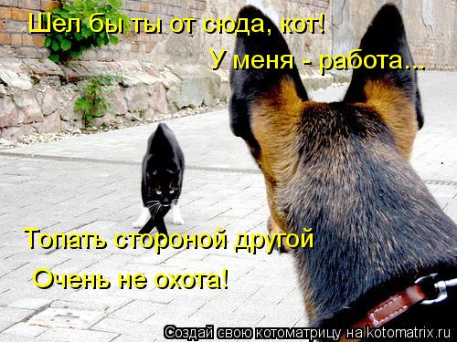 Шел бы ты от сюда, кот! У меня - работа... Топать стороной другой Очень не охота!... Котоматрица: Шел бы ты от сюда, кот! У меня - работа... Топать стороной другой Очень не охота!
