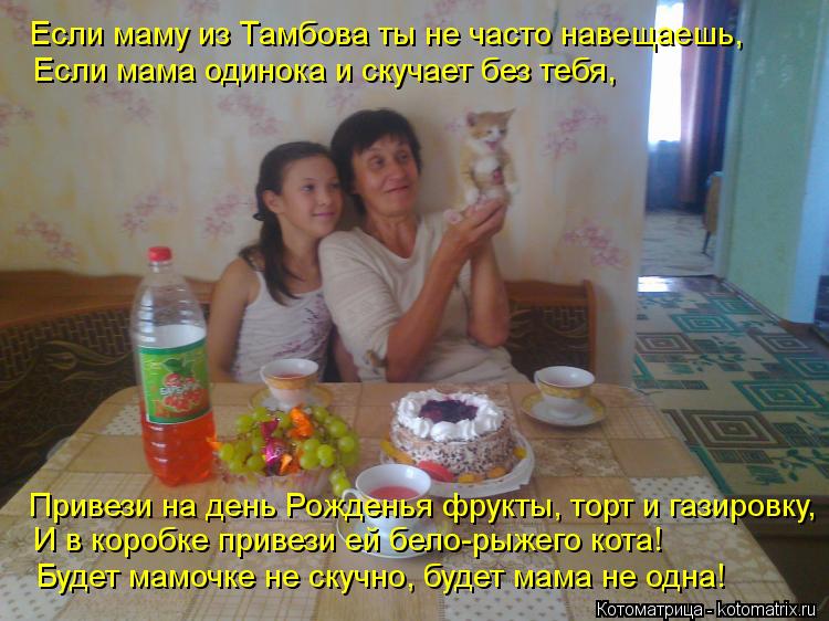 Если маму из Тамбова ты не часто навещаешь, Если мама одинока и скучает без тебя, Привези на день Рож... Котоматрица: Если маму из Тамбова ты не часто навещаешь, Если мама одинока и скучает без тебя, Привези на день Рожденья фрукты, торт и газировку, И в короб