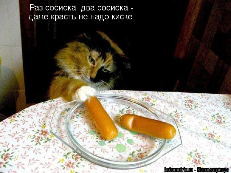 Котоматрица: Раз сосиска, два сосиска -  даже красть не надо киске