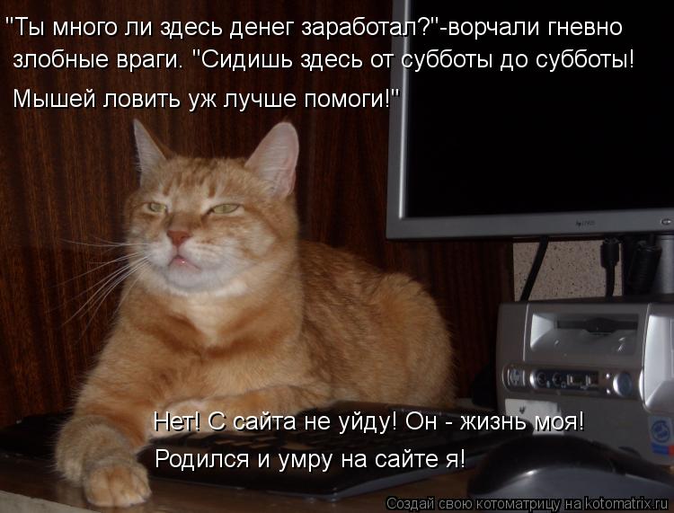 Котоматрица: "Ты много ли здесь денег заработал?"-ворчали гневно  злобные враги. "Сидишь здесь от субботы до субботы! Мышей ловить уж лучше помоги!" Нет! С с