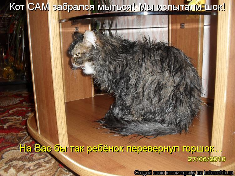 Котоматрица: Кот САМ забрался мыться! Мы испытали шок! На Вас бы так ребёнок перевернул горшок...