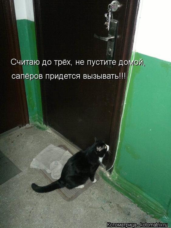 Считаю до трёх, не пустите домой, сапёров придется вызывать!!!... Котоматрица: Считаю до трёх, не пустите домой, сапёров придется вызывать!!!