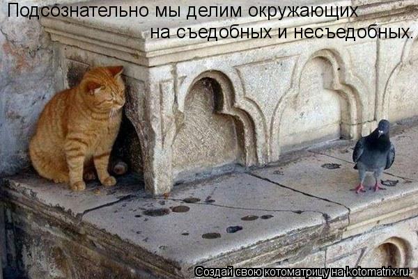 Котоматрица: Подсознательно мы делим окружающих на съедобных и несъедобных.