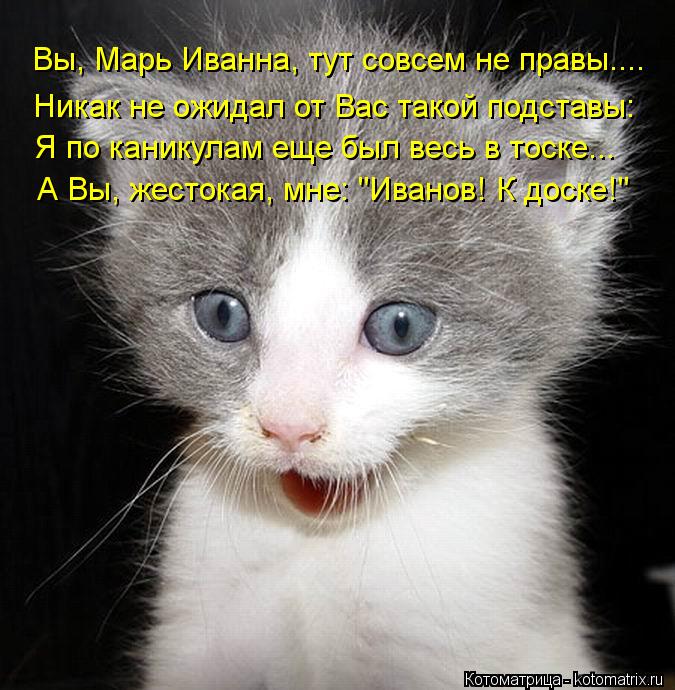 Вы, Марь Иванна, тут совсем не правы.... Никак не ожидал от Вас такой подставы: Я по каникулам еще бы... Котоматрица: Вы, Марь Иванна, тут совсем не правы.... Никак не ожидал от Вас такой подставы: Я по каникулам еще был весь в тоске... А Вы, жестокая, мне: "Иванов!