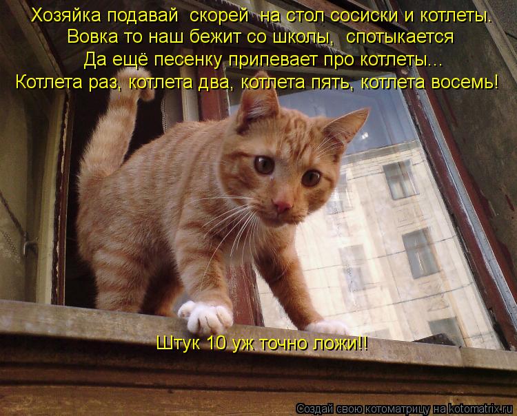 Котоматрица: Хозяйка подавай  скорей  на стол сосиски и котлеты. Вовка то наш бежит со школы,  спотыкается  Да ещё песенку припевает про котлеты... Котлета 