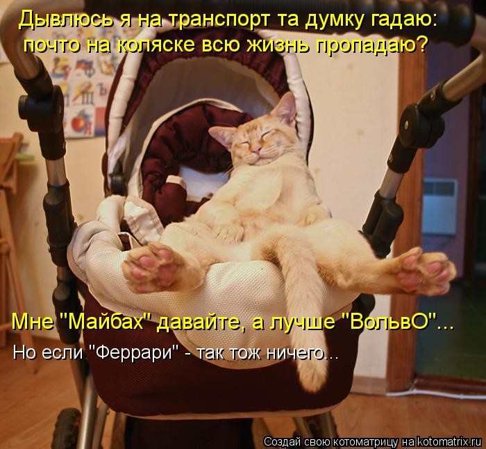 Дывлюсь я на транспорт та думку гадаю: почто на коляске всю жизнь пропадаю? Мне "Майбах" давайте, а л... Котоматрица: Дывлюсь я на транспорт та думку гадаю: почто на коляске всю жизнь пропадаю? Мне "Майбах" давайте, а лучше "ВольвО"... Но если "Феррари" - так тож