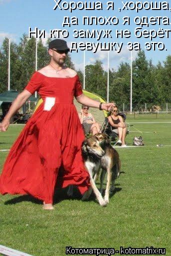 Котоматрица: Хороша я ,хороша,да плохо я одета.Ни кто замуж не берёт девушку за это. да плохо я одета.Ни кто замуж не берёт девушку за это. Ни кто замуж не б