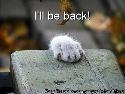 Котоматрица: I’ll be back!