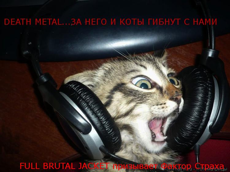 Котоматрица: DEATH METAL...ЗА НЕГО И КОТЫ ГИБНУТ С НАМИ FULL BRUTAL JACKET призывает Фактор Страха