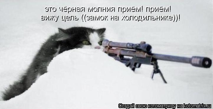 Котоматрица: это чёрная молния приём! приём! вижу цель ((замок на холодильнике))!