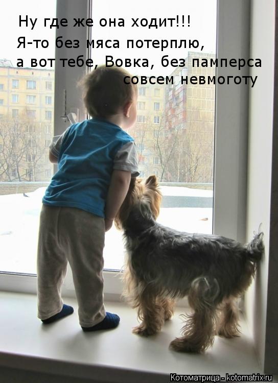 Котоматрица: Ну где же она ходит!!! Я-то без мяса потерплю,  а вот тебе, Вовка, без памперса совсем невмоготу