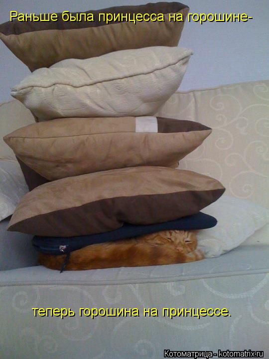 Котоматрица: Раньше была принцесса на горошине-  теперь горошина на принцессе.