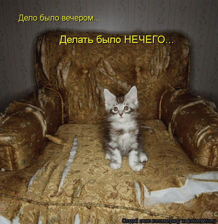 Дело было вечером... Делать было НЕЧЕГО...... Котоматрица: Дело было вечером... Делать было НЕЧЕГО...