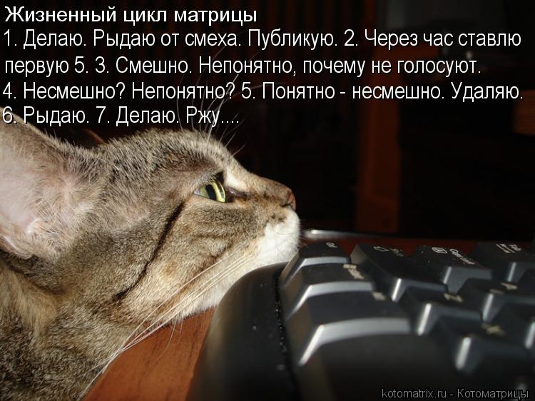 Жизненный цикл матрицы 1. Делаю. Рыдаю от смеха. Публикую. 2. Через час ставлю первую 5. 3. Смешно. Н... Котоматрица: Жизненный цикл матрицы 1. Делаю. Рыдаю от смеха. Публикую. 2. Через час ставлю первую 5. 3. Смешно. Непонятно, почему не голосуют. 4. Несмешно? Неп