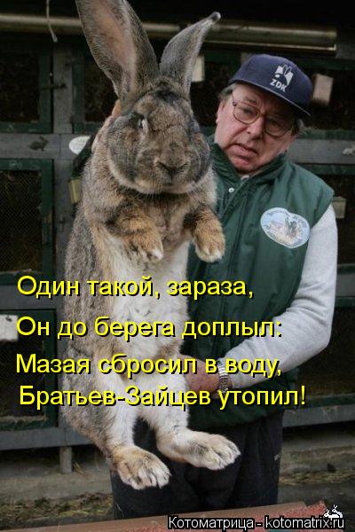 Один такой, зараза, Мазая сбросил в воду, Братьев-Зайцев утопил! Он до берега доплыл:... Котоматрица: Один такой, зараза, Мазая сбросил в воду, Братьев-Зайцев утопил! Он до берега доплыл: