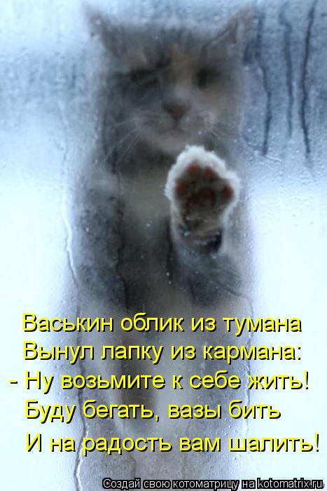 Котоматрица: Васькин облик из тумана Вынул лапку из кармана: - Ну возьмите к себе жить! Буду бегать, вазы бить И на радость вам шалить!